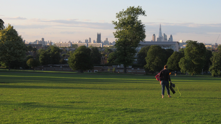 Brockwell Park and The Shard