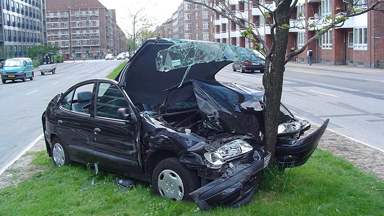 Drunkard's Renault split in two by a tree on Clapham High Street. Pic: Josh Lamb