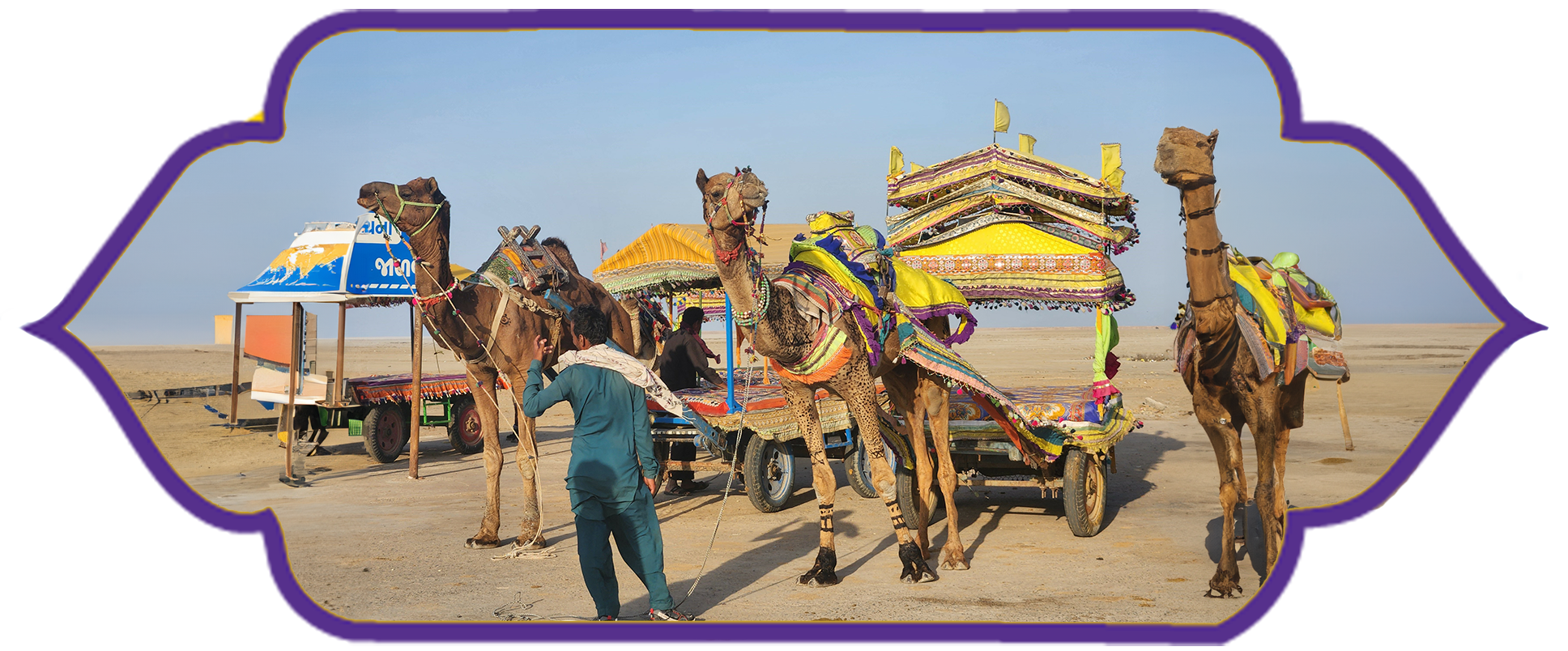 picture of Rann Utsav