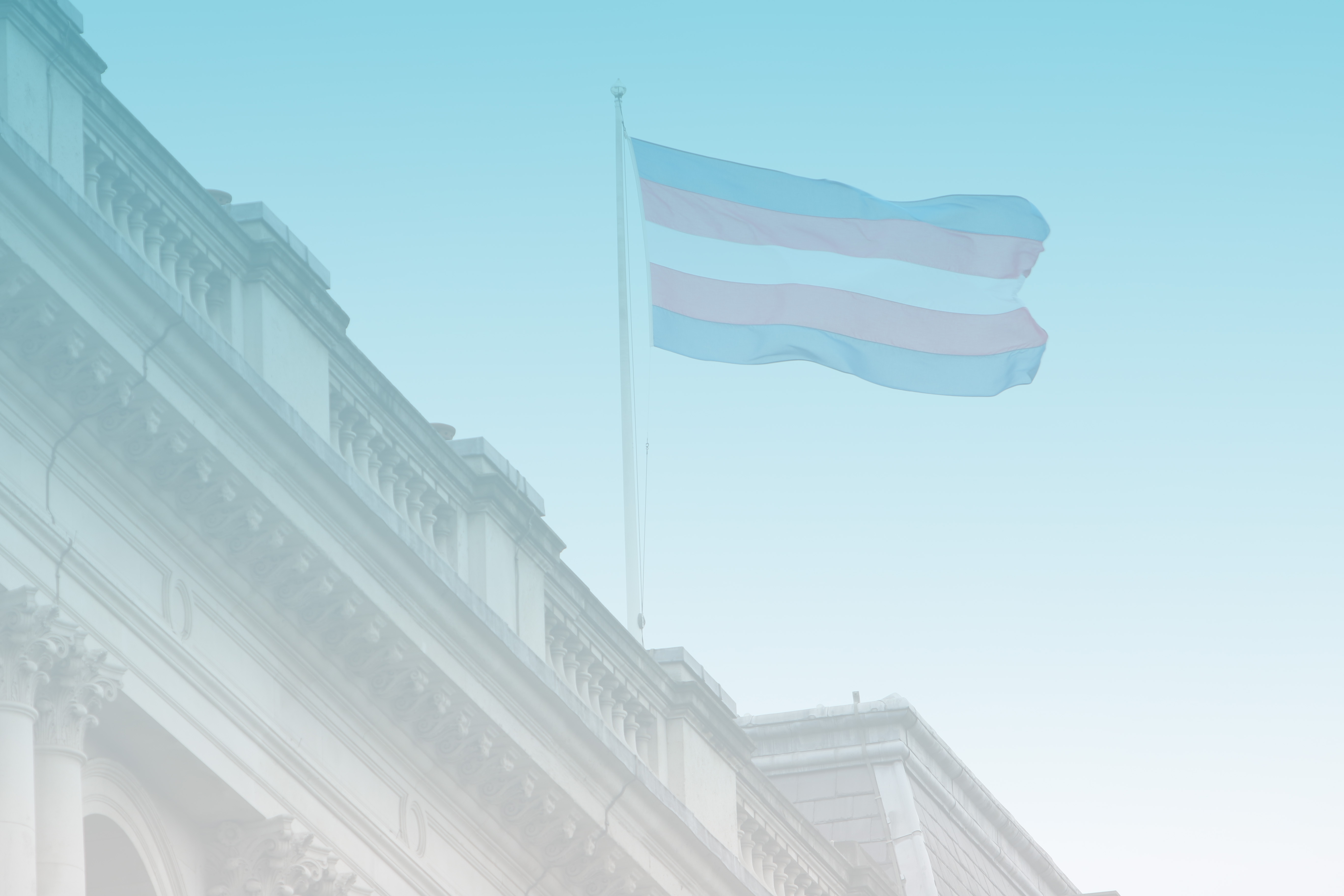 A transgender flag